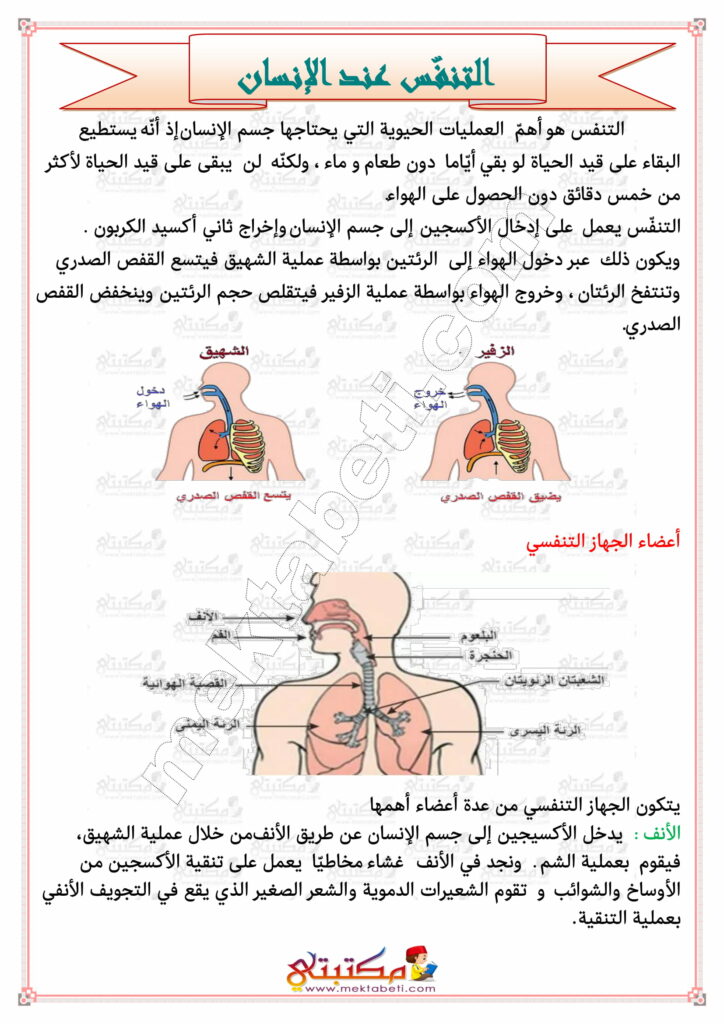 التنفس عند الإنسان مكتبتي سعادتنا في خدمتكم