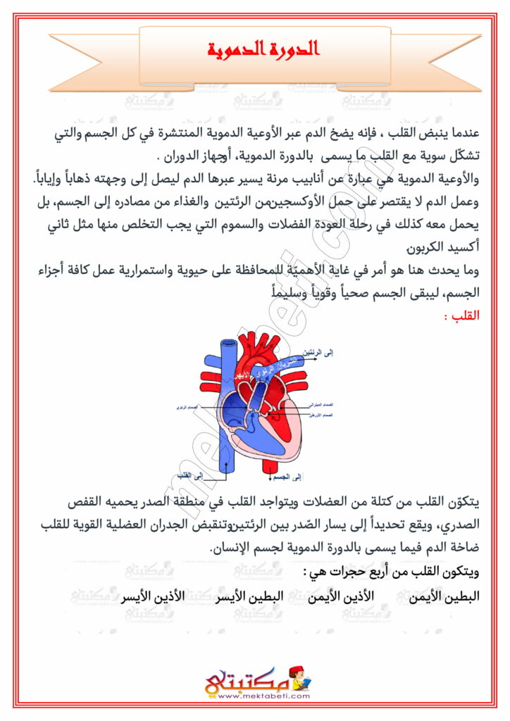 إيقاظ علمي السنة الخامسة الدورة الدموية مع تمارين مكتبتي سعادتنا في خدمتكم