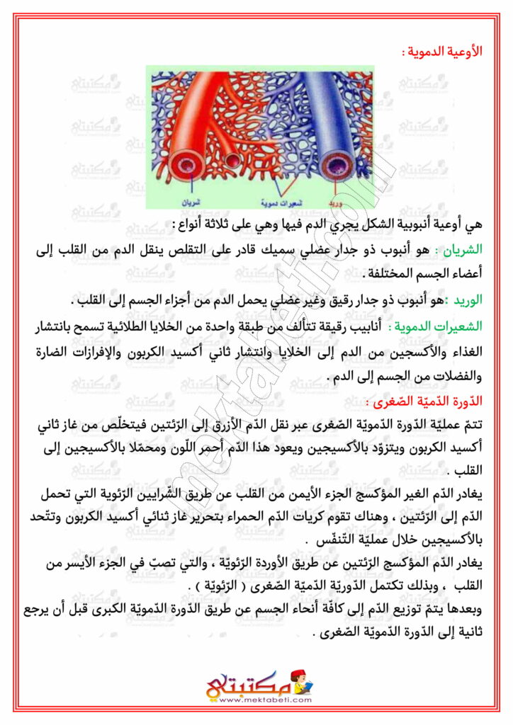 إيقاظ علمي السنة الخامسة الدورة الدموية مع تمارين مكتبتي سعادتنا في خدمتكم