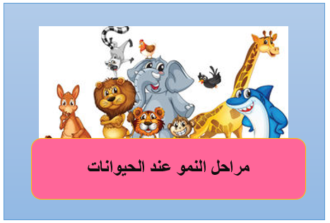 مراحل النمو عند الحيوانات - مكتبتي المنصة التعليمية