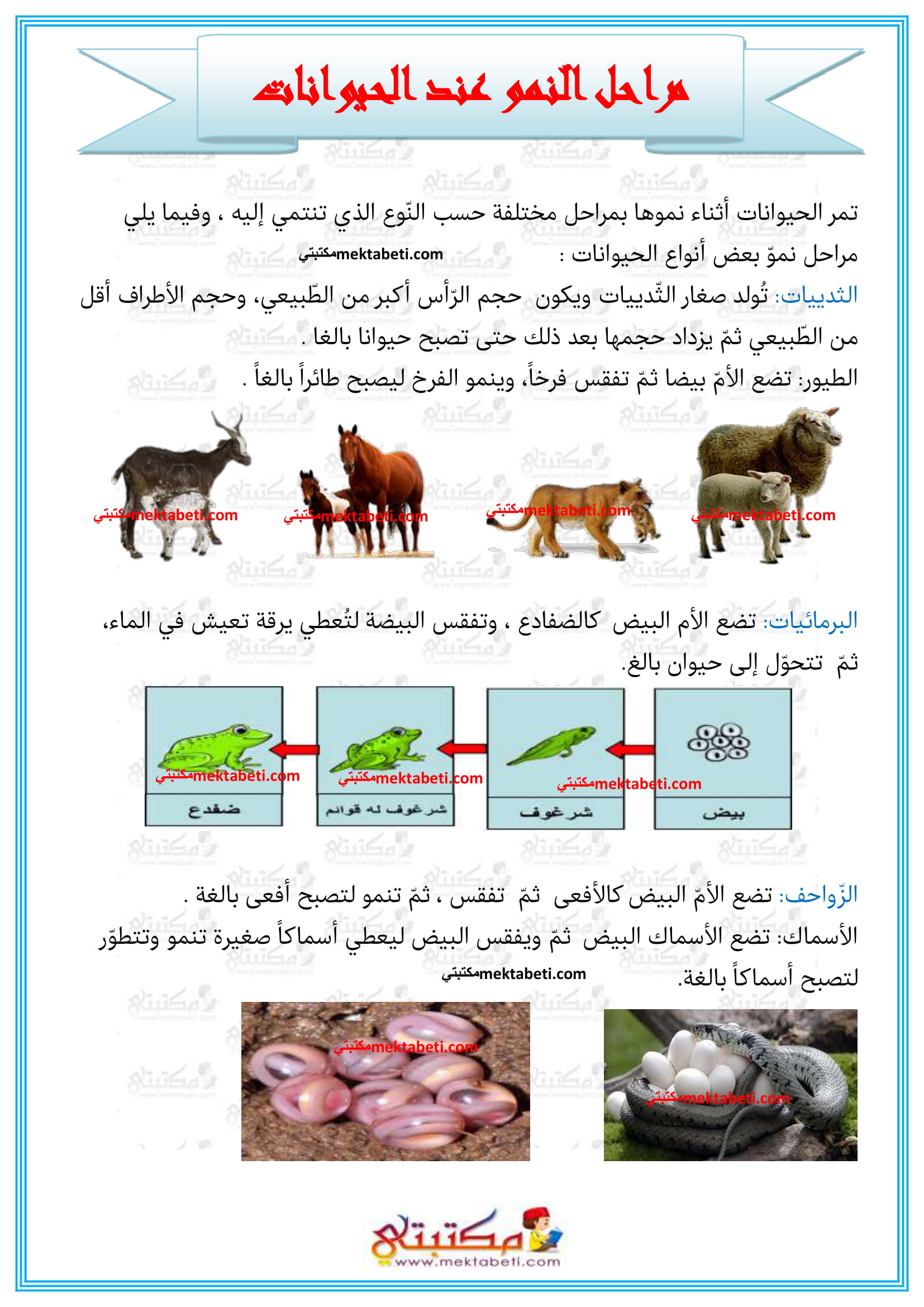 مراحل النمو عند الحيوانات - مكتبتي المنصة التعليمية