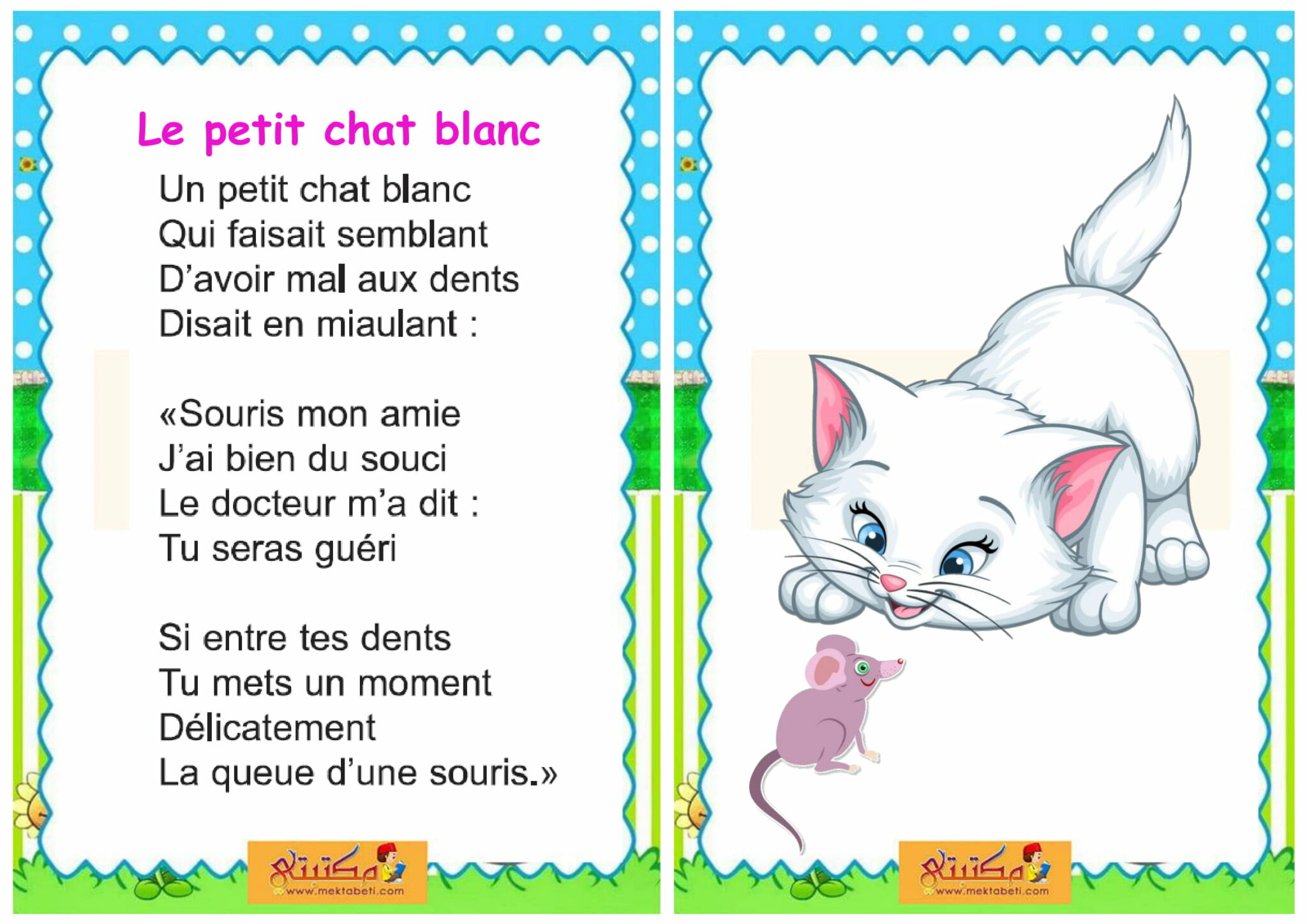 récitation le petit chat blanc